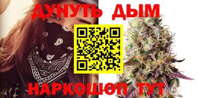 ECSTASY Камышлов