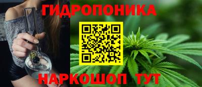 ECSTASY Камышлов