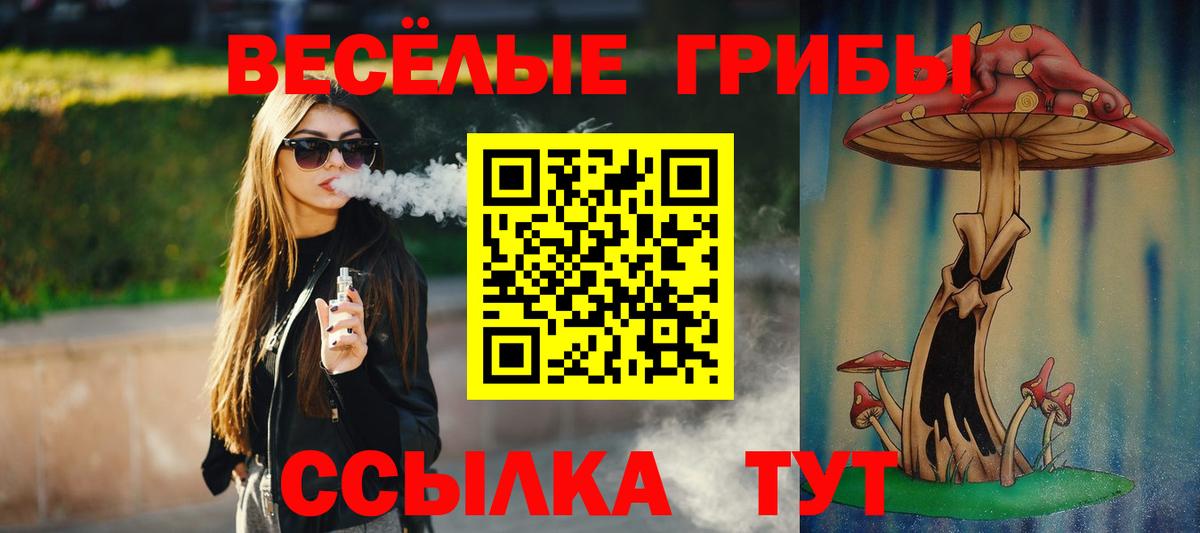 Псилоцибиновые грибы ЛСД  Вход с VPN  Псилоцибиновые грибы ЛСД  Усть-Джегута 